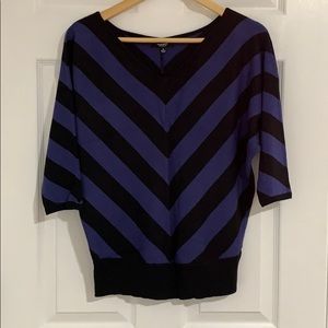 Blue & Black V sweater